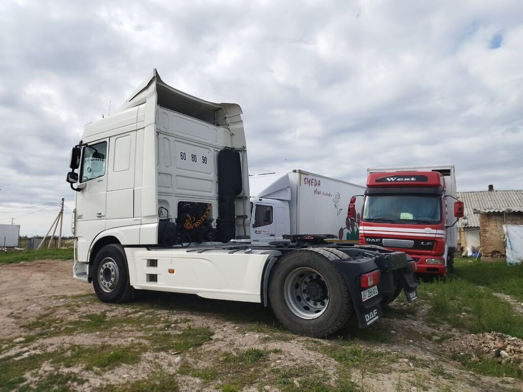 Тягач, DAF, 2014 г., Без прицепа: фото 4