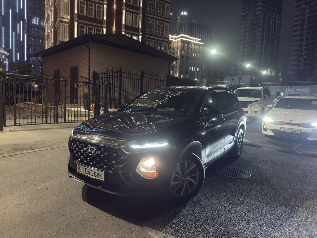 Hyundai Santa Fe: 2019 г., 2 л, Автомат, Дизель, Кроссовер: фото 3