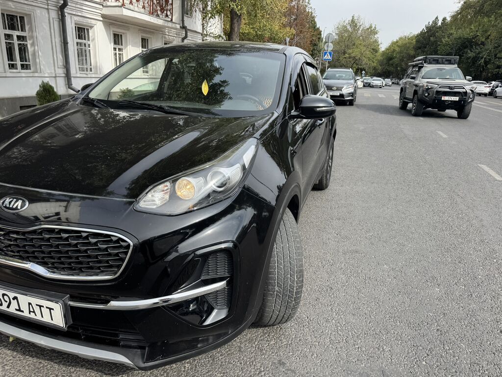 Kia Sportage: 2020 г., Автомат, Кроссовер: фото 1