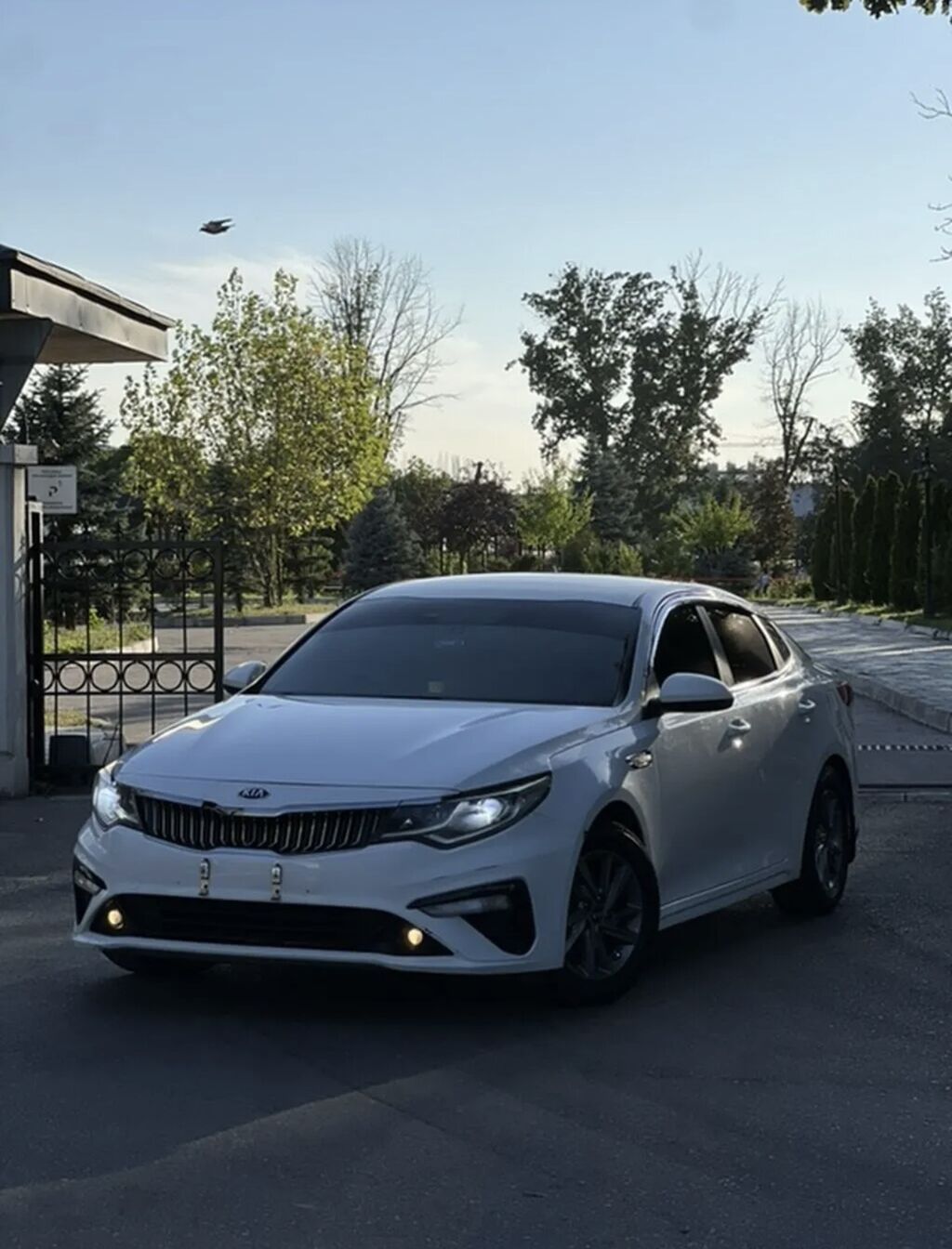 Kia K5: 2018 г., 2 л, Автомат, Газ, Седан: фото 1