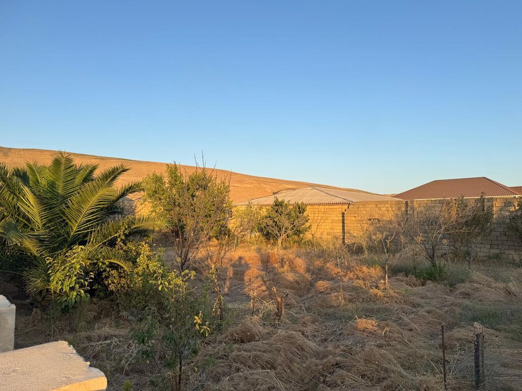 8 sot, Tikinti, Mülkiyyətçi, Kupça (Çıxarış)