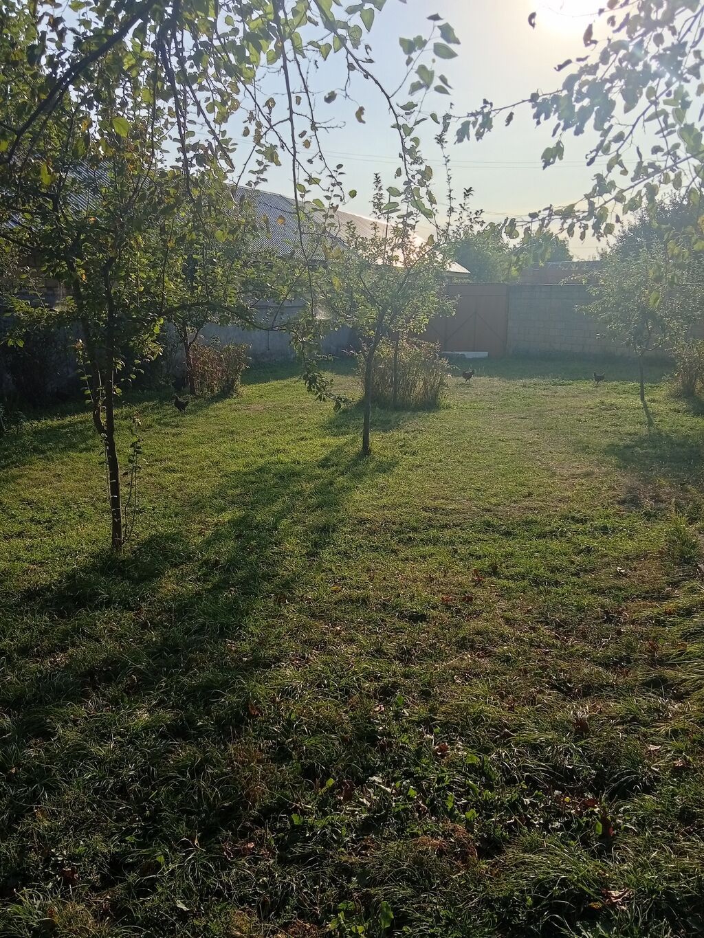100 kv. m, 3 otaqlı, Hovuzsuz, Qaz