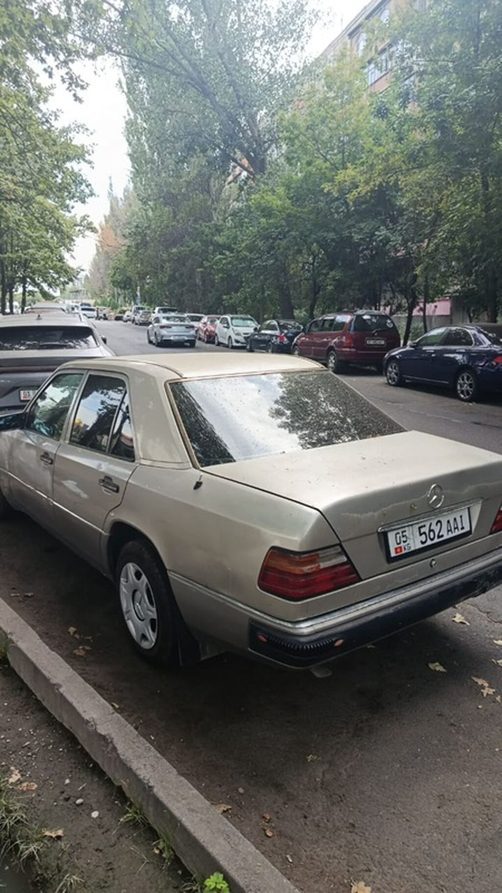 Mercedes-Benz W124: 1993 г., 2.2 л, Механика, Бензин, Седан: фото 3