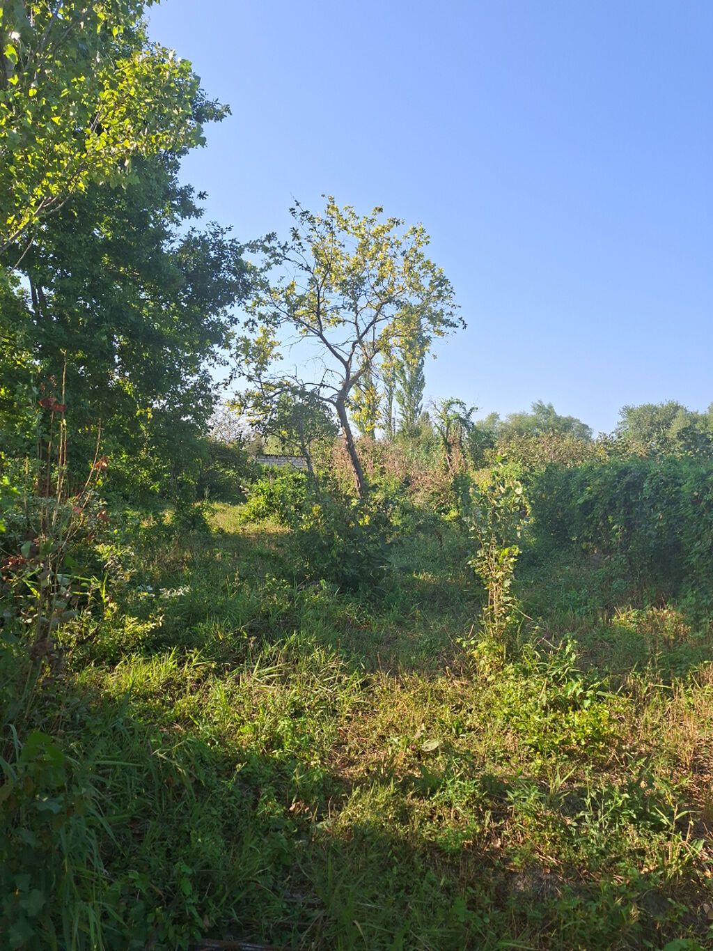3 otaqlı, 45 kv. m, Təmirsiz