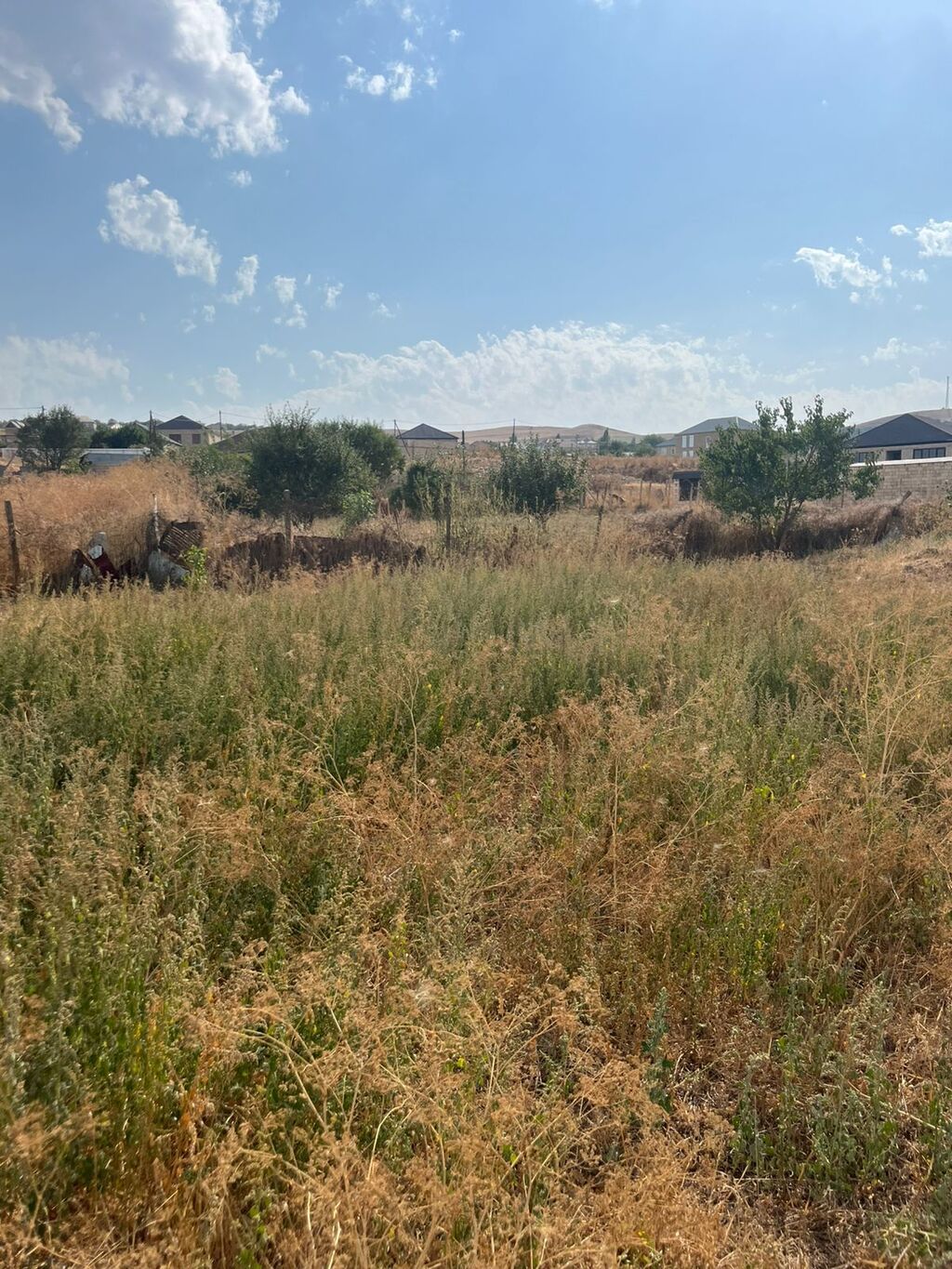 Tikinti