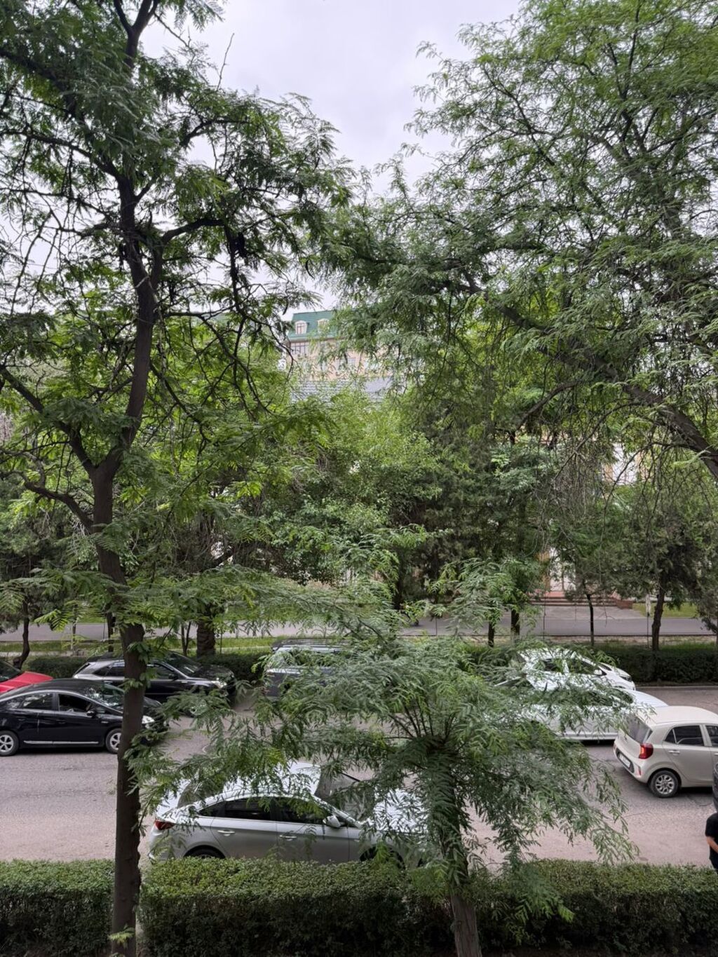 4 комнаты, 98 м², Бета Сторес Индивидуалка, 3 этаж, Евроремонт: фото 4