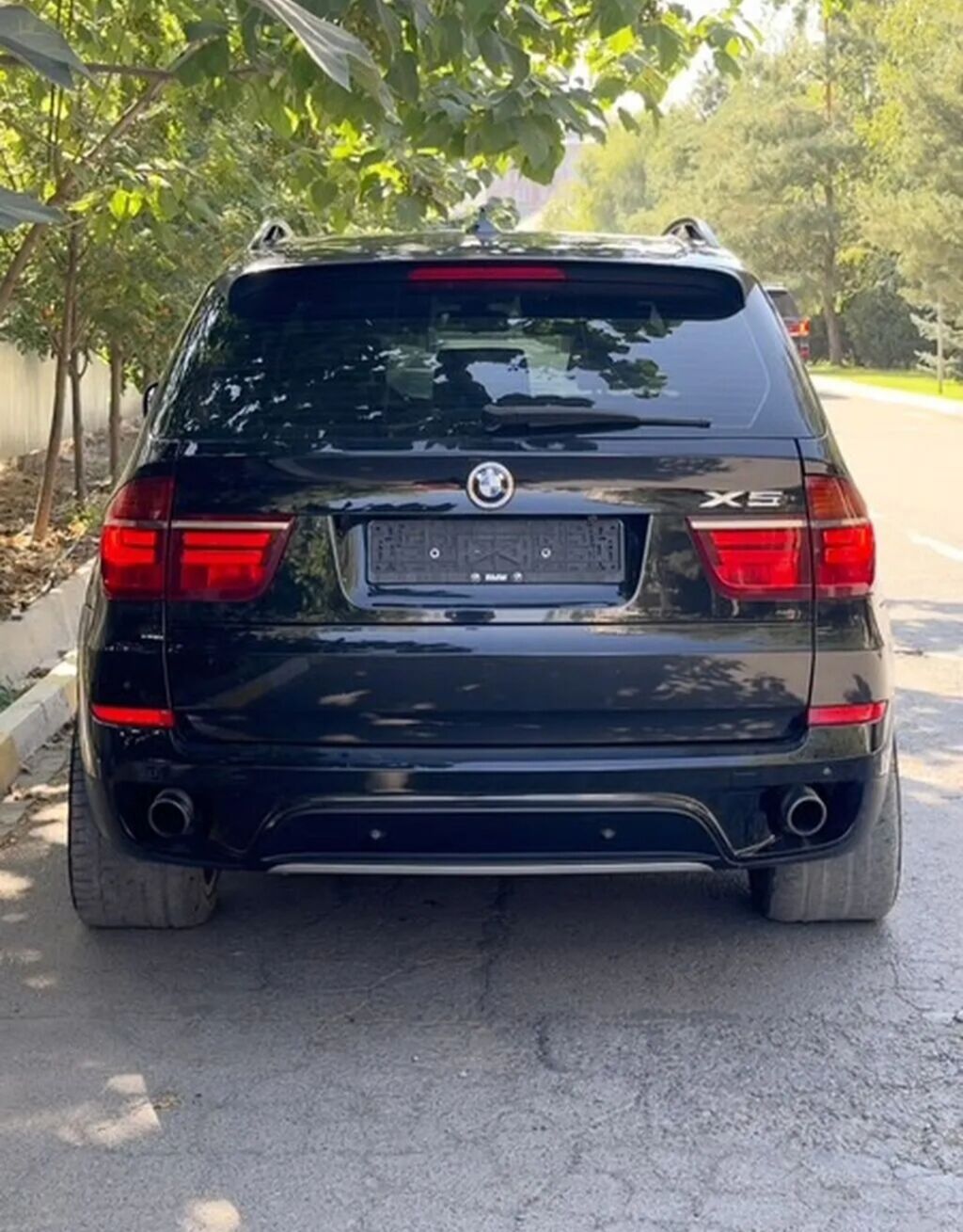 BMW X5: 2010 г., 3 л, Автомат, Бензин, Кроссовер: фото 3