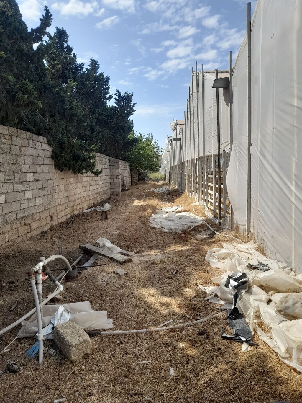 135 sot, Biznes üçün, Kupça (Çıxarış)