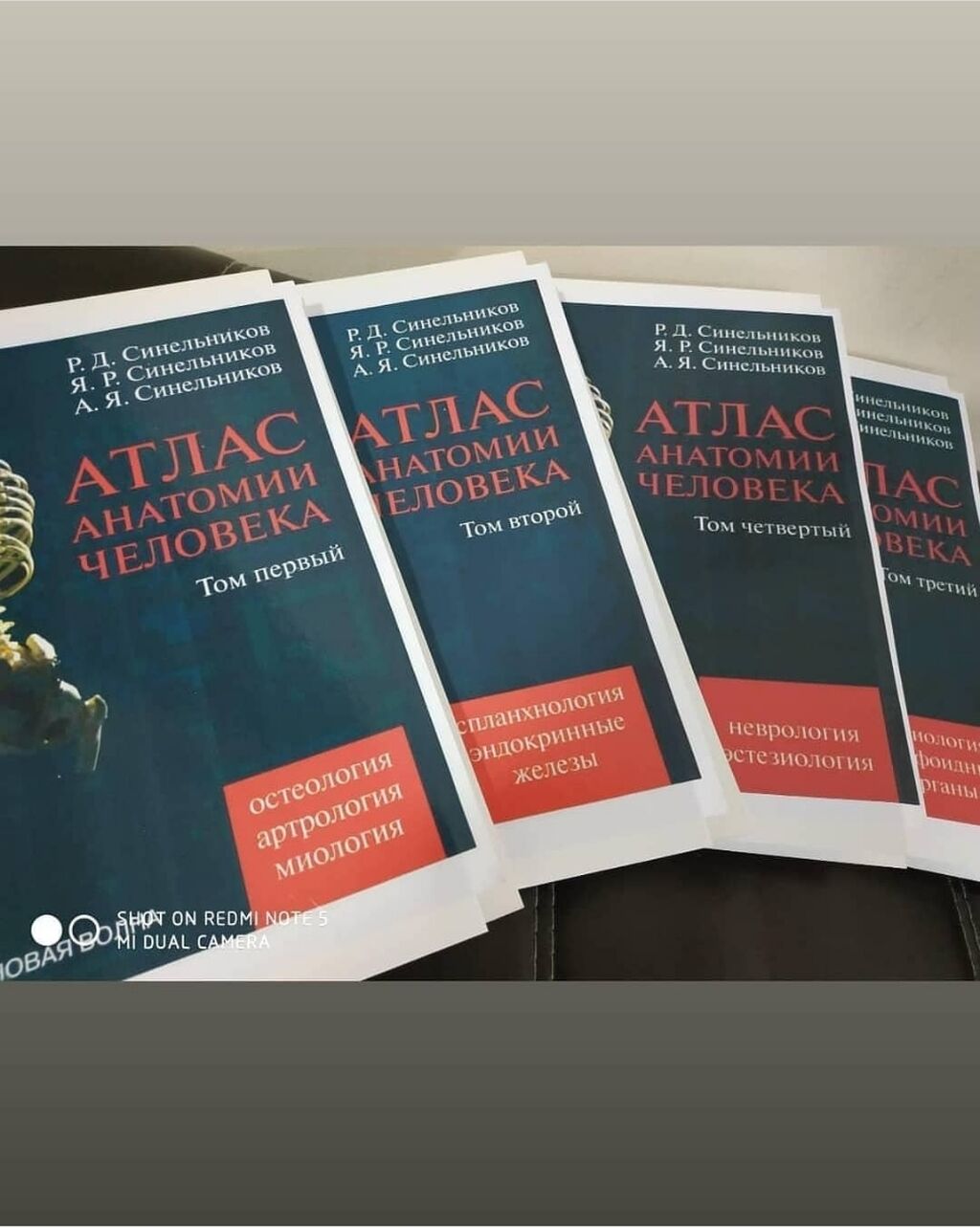 АТЛАС Анатомия человека СИНЕЛЬНИКОВ Медицинские книги: 1770 KGS Другие ...