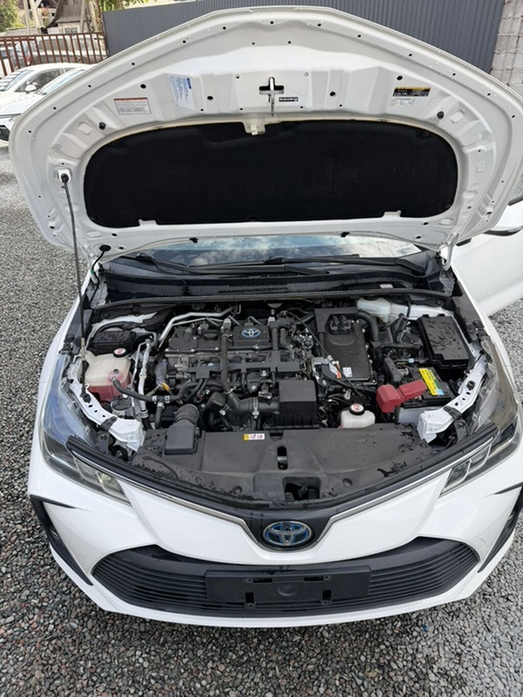 Toyota Corolla: 2022 г., 1.8 л, Гибрид, Седан: фото 2
