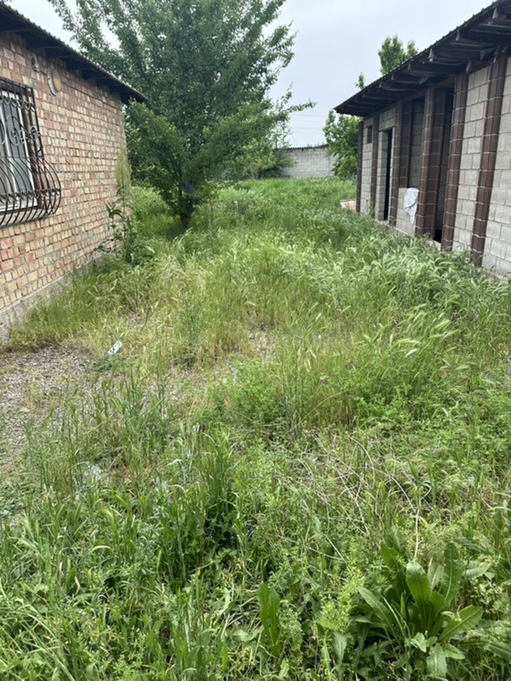 Уборка территории, Уборка двора и сада: фото 2