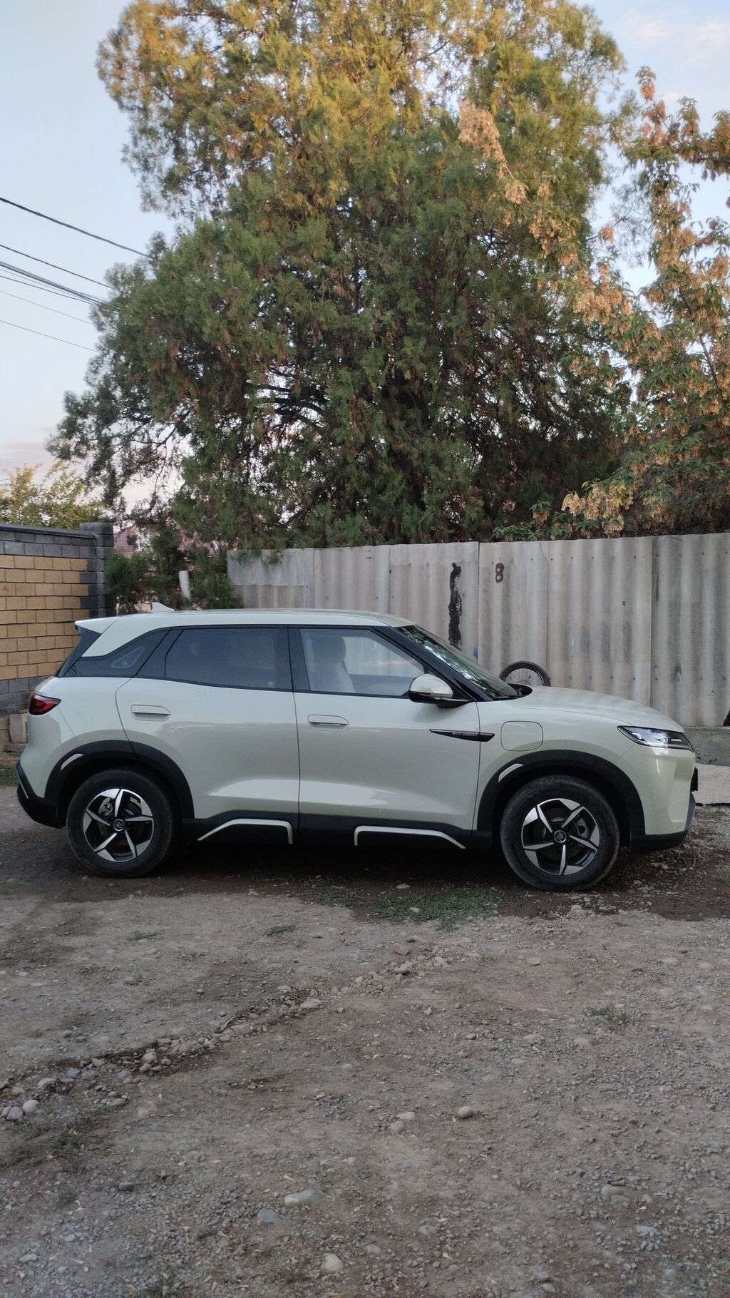 BYD Yuan Up: 2024 г., Кроссовер: фото 2