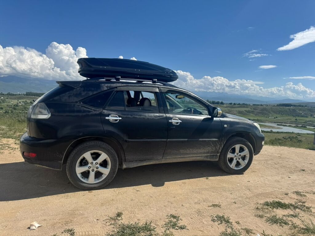 Lexus RX: 2003 г., 3 л, Автомат, Бензин, Кроссовер: фото 3