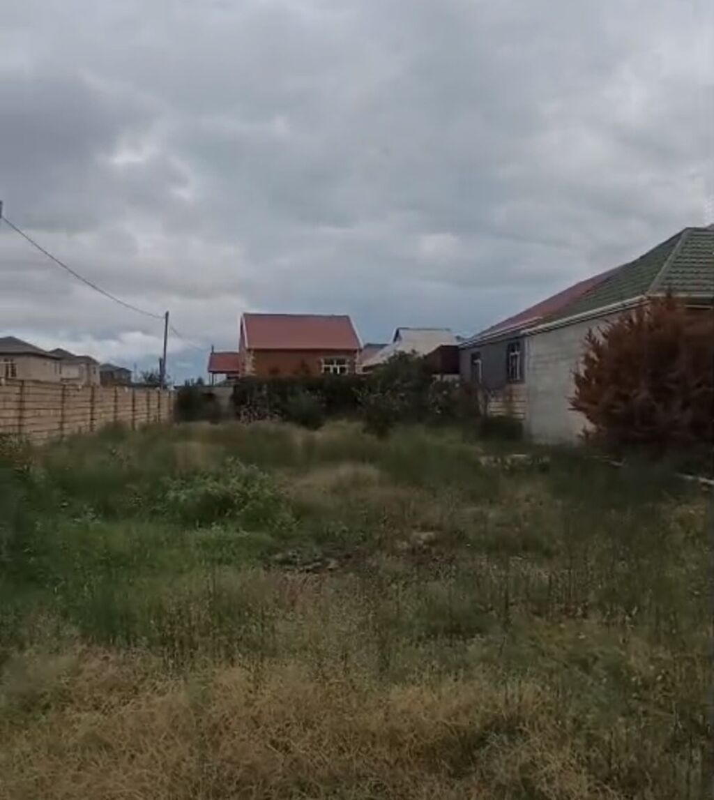 6 sot, Kənd təsərrüfatı, Kupça (Çıxarış)