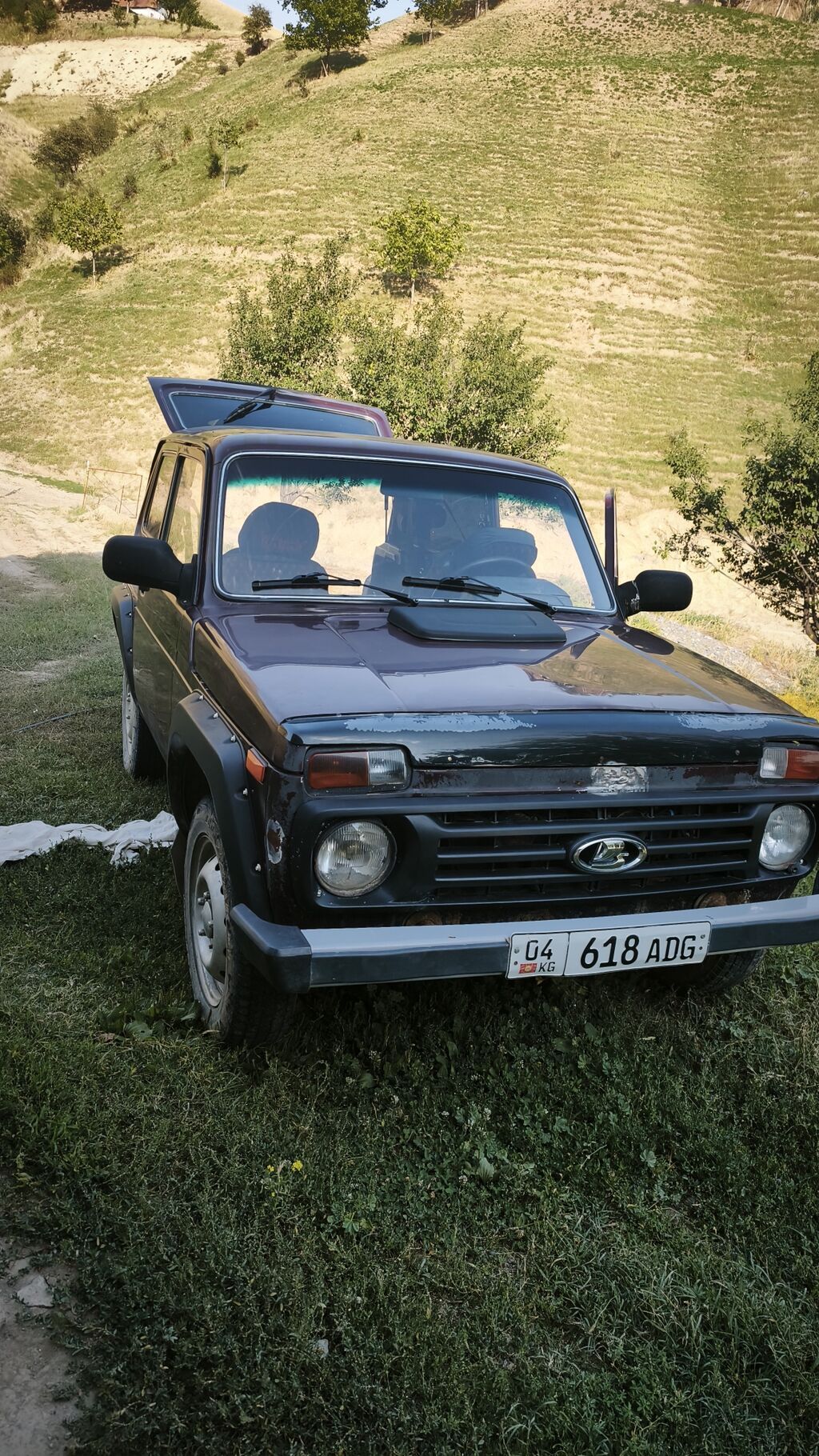 ВАЗ (ЛАДА) 4x4 Нива: 2012 г., Механика, Внедорожник: фото 3