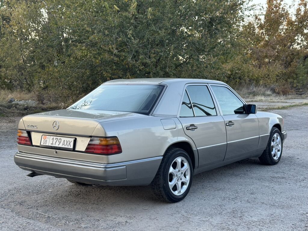 Mercedes-Benz W124: 1993 г., 2.2 л, Автомат, Бензин, Седан: фото 3