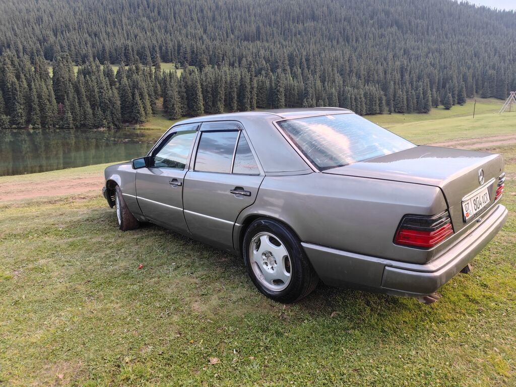 Mercedes-Benz W124: 1993 г., 3.2 л, Механика, Газ, Седан: фото 5