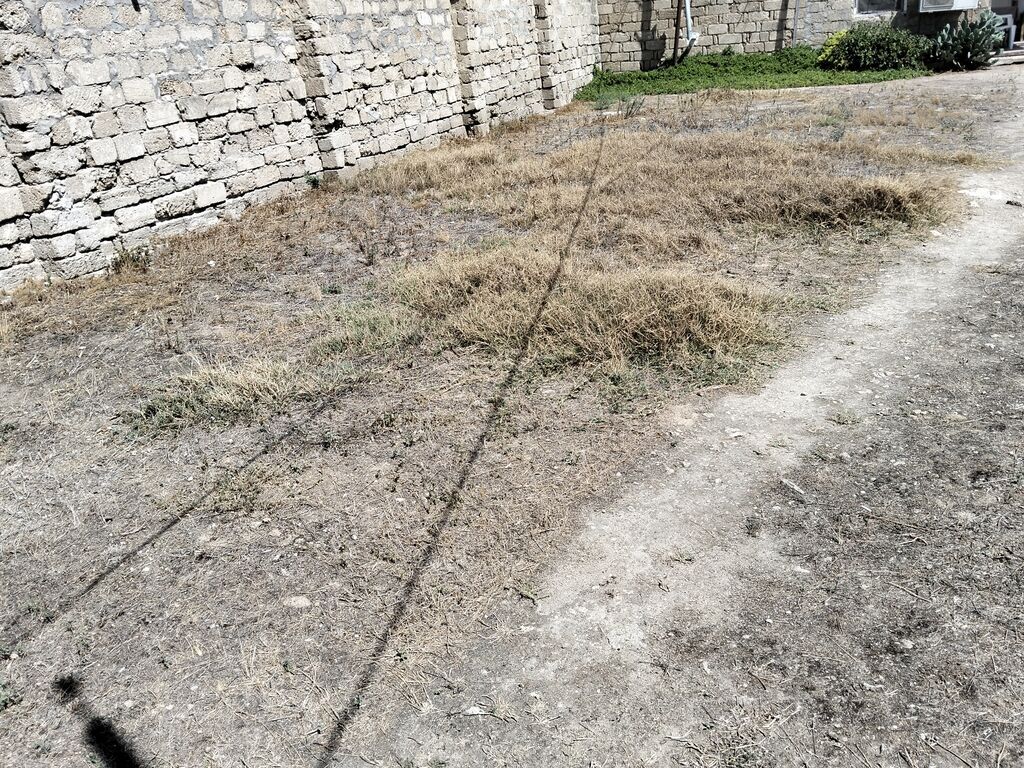3 sot, Tikinti, Mülkiyyətçi