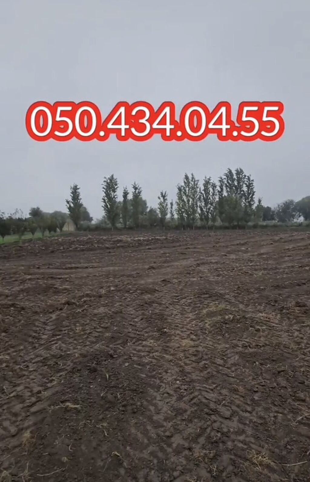 15 otaq, 1000 kv. m, Kredit yoxdur, Təmirsiz