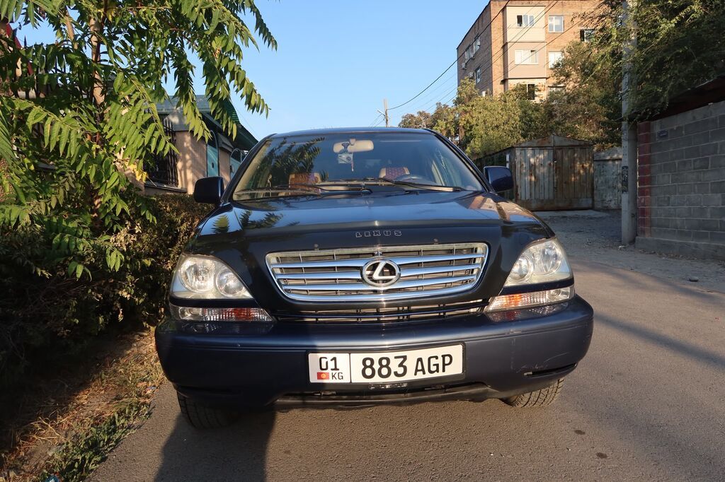 Lexus RX: 2001 г., 3 л, Автомат, Бензин, Кроссовер: фото 8