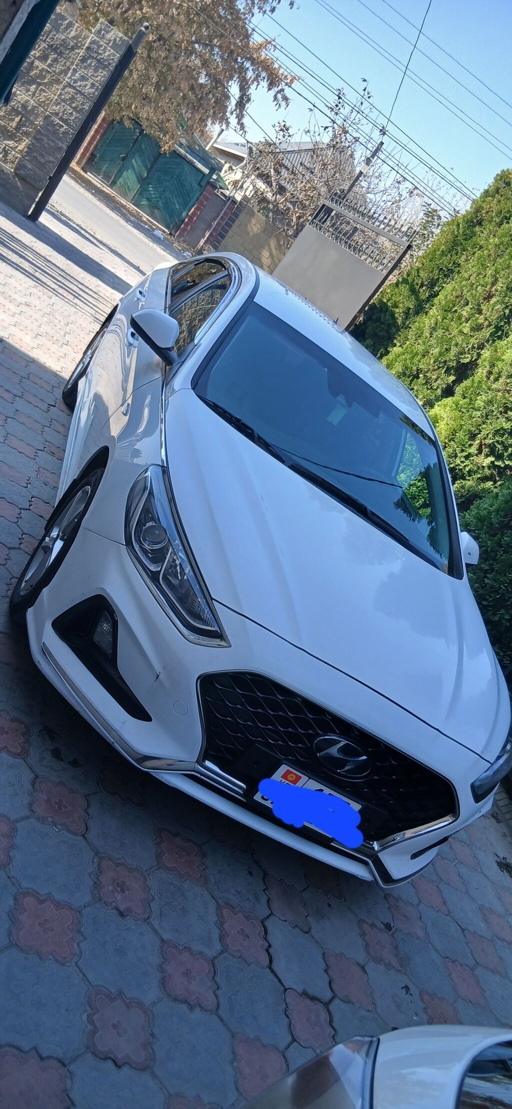 Hyundai Sonata: 2020 г., 2 л, Автомат, Газ, Седан: фото 1