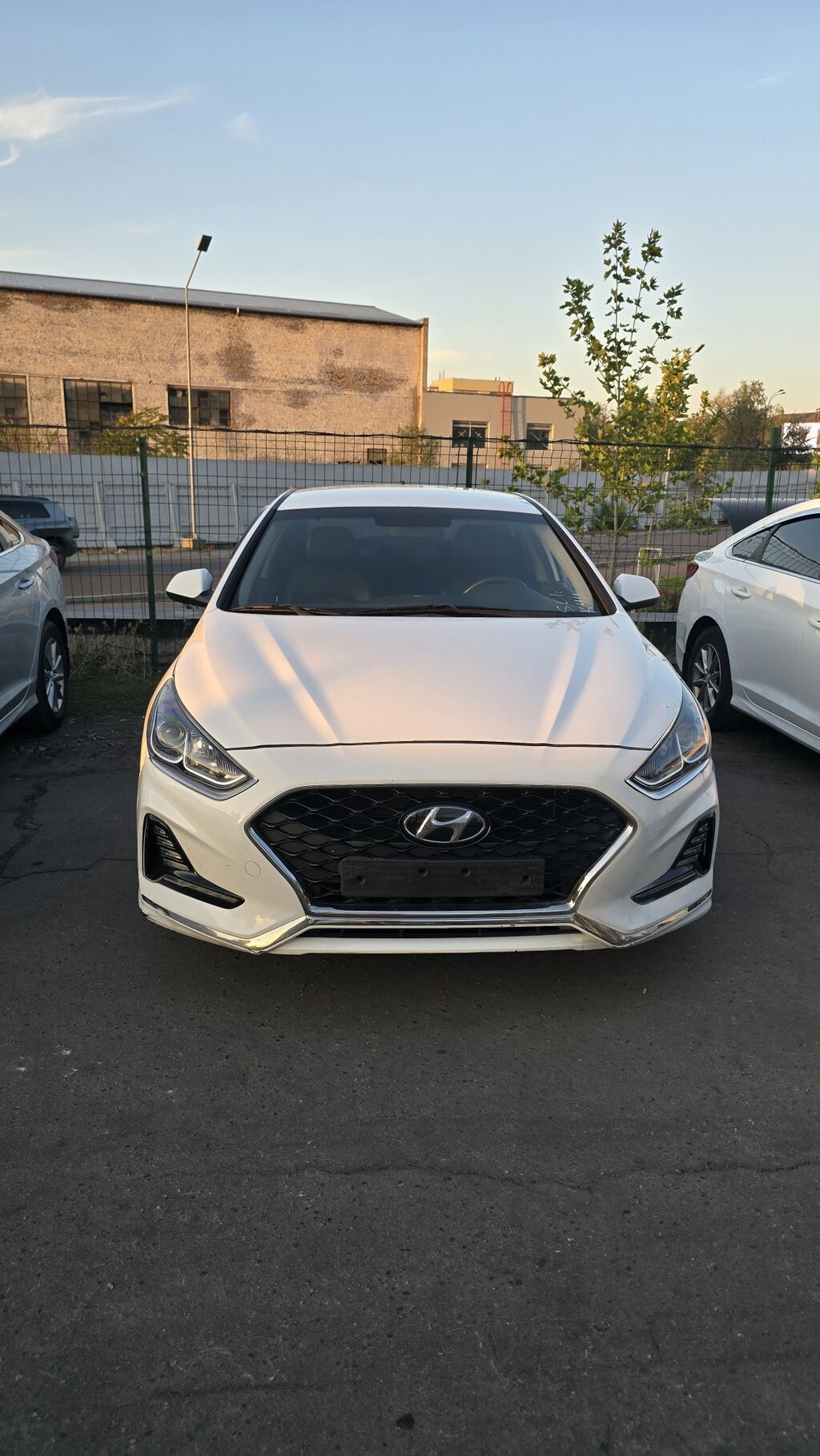 Hyundai Sonata: 2020 г., 2 л, Автомат, Газ, Седан: фото 3