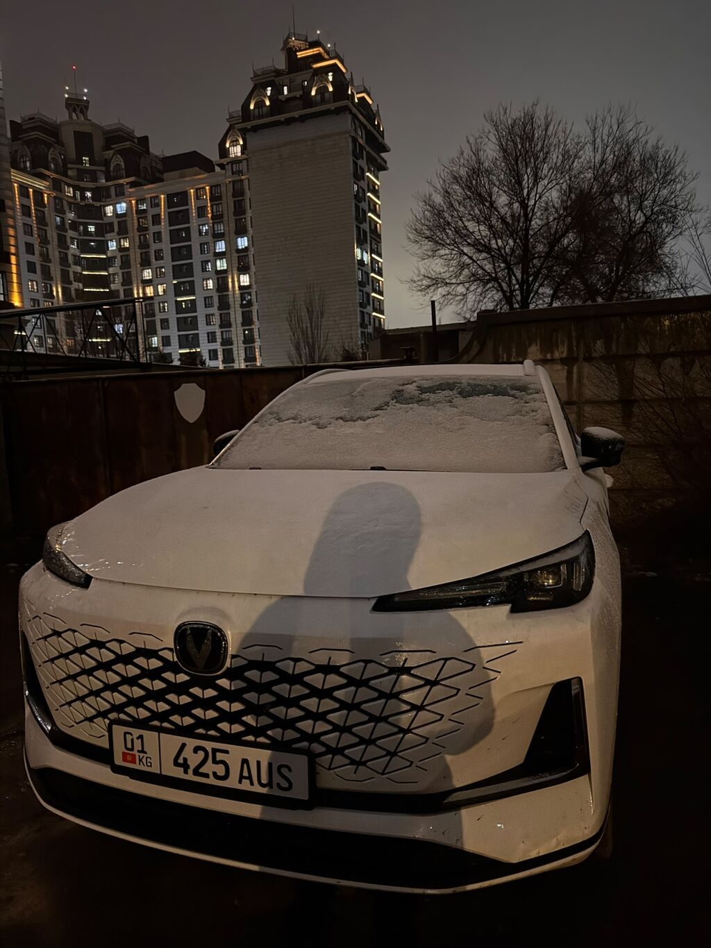 Changan CS55 Plus: 2024 г., Автомат, Бензин, Кроссовер: фото 3
