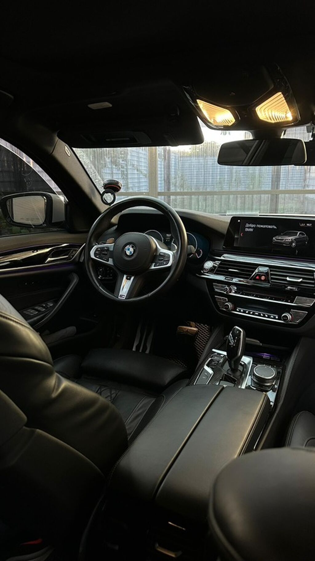BMW 5 series: 2019 г., 2 л, Автомат, Бензин, Седан: фото 6