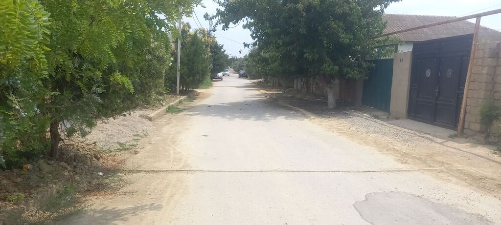 6 sot, Tikinti, Mülkiyyətçi, Kupça (Çıxarış)