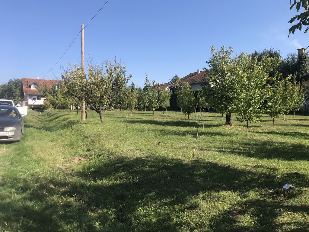 Prodaja zemljišta: Gradjevinski plac 1200 kvadrata (12 ari ) N Placu ima 60 kajsija 4