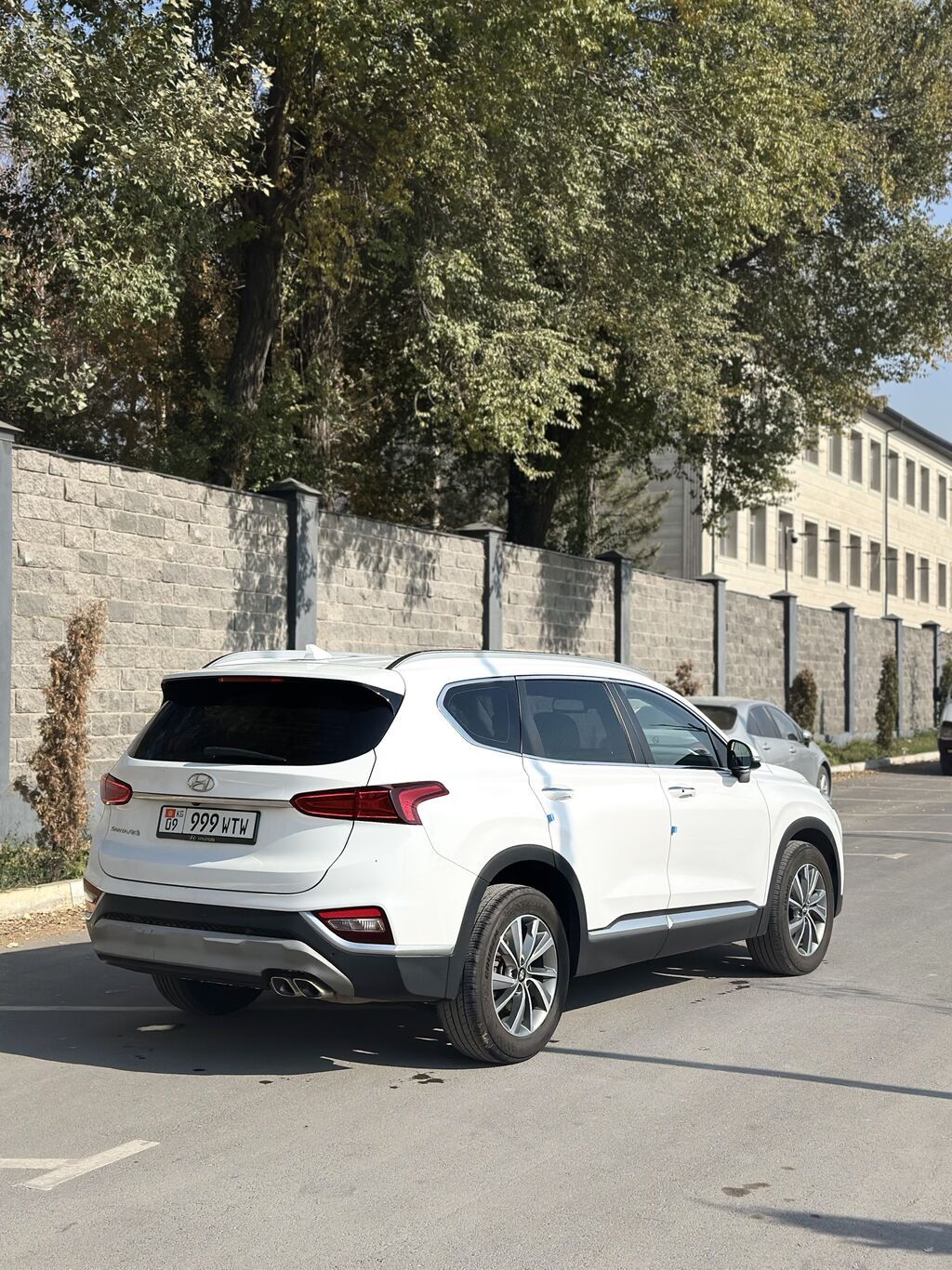 Hyundai Santa Fe: 2019 г., 2 л, Автомат, Дизель, Кроссовер: фото 4