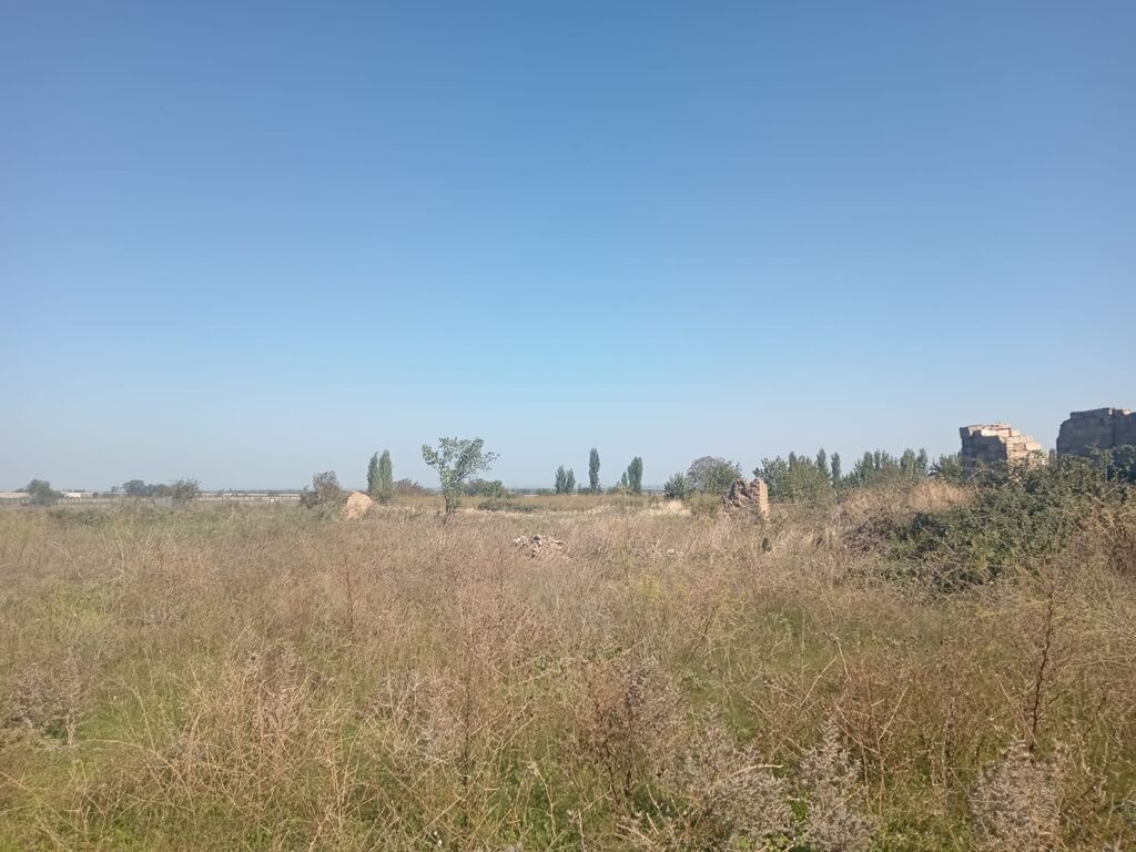 Biznes üçün