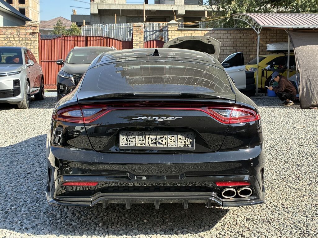 Kia Stinger: 2018 г., 2.2 л, Автомат, Дизель, Лифтбек: фото 7