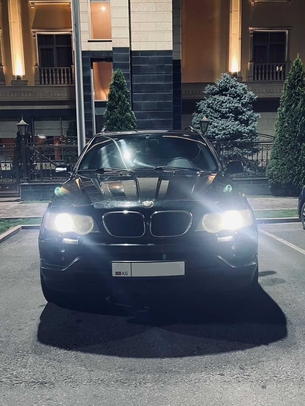 BMW X5: 2002 г., 3 л, Автомат, Бензин: фото 7