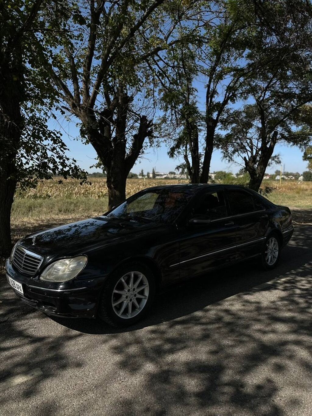 Mercedes-Benz S-Class: 2001 г., 4.3 л, Автомат, Газ, Седан: фото 3