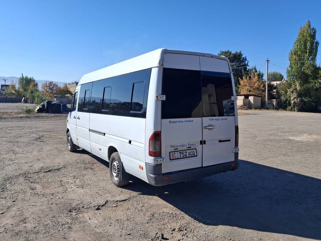 Mercedes-Benz Спринтер: 2003 г., 2.9 л, Механика, Дизель, Бус: фото 2