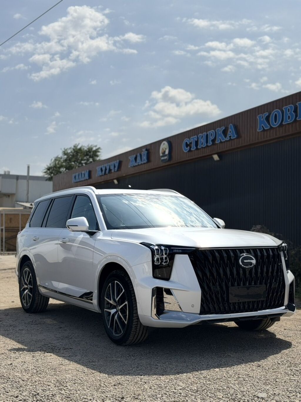 GAC GS8 (второе поколение), белый кузов. Ключевые особенности: -: фото 5