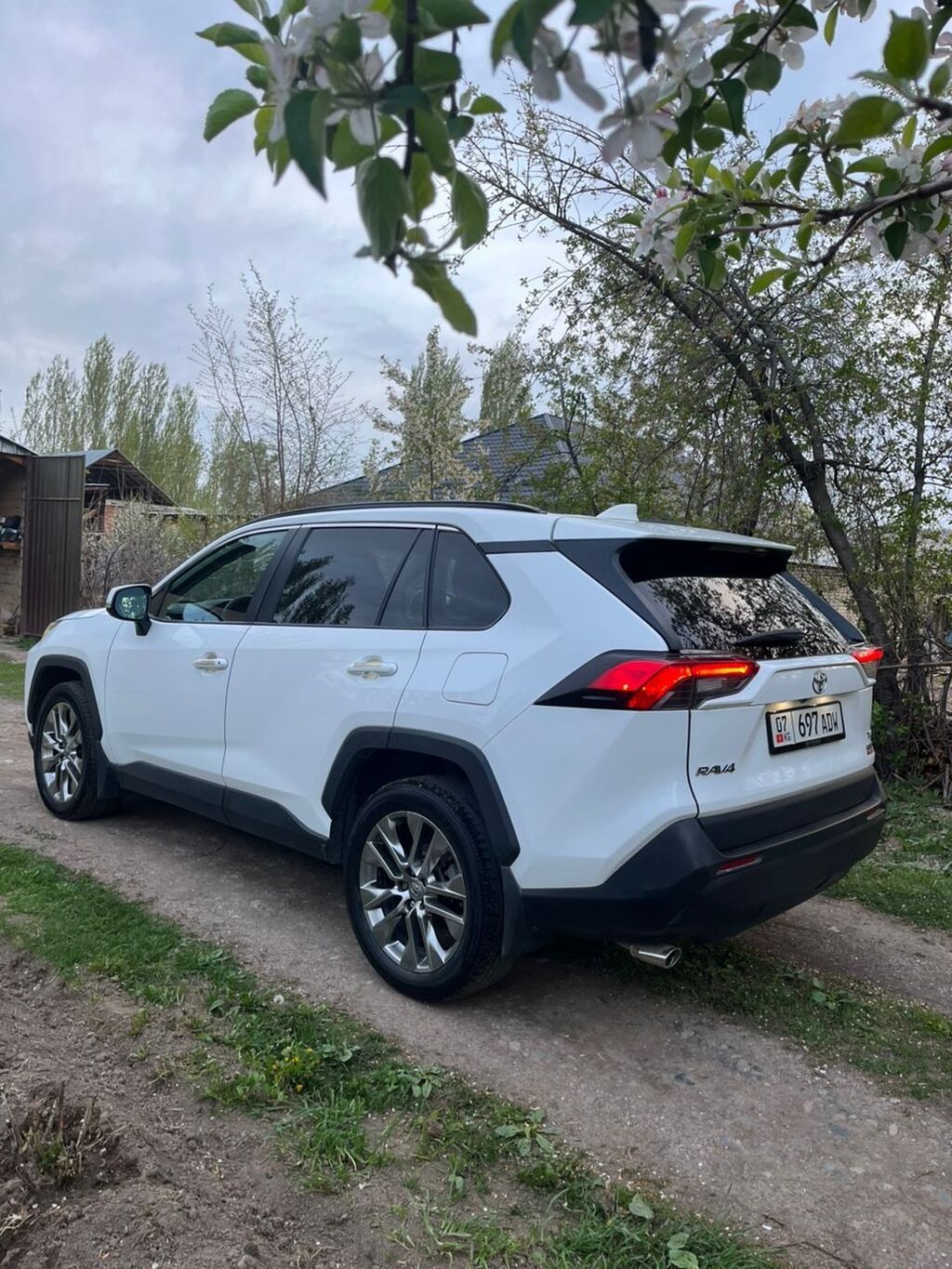 Toyota RAV4: 2020 г., 2.5 л, Автомат, Бензин, Кроссовер: фото 5