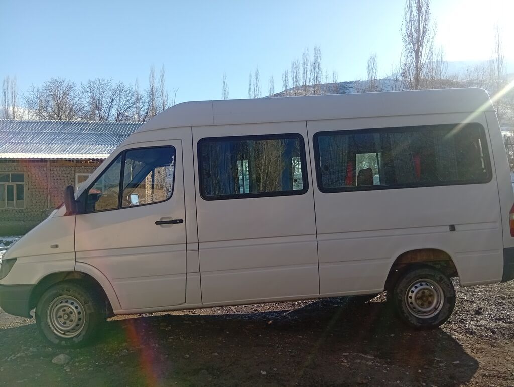 Пассажирский микроавтобус Mercedes-Benz Sprinter (длинная база: фото 4