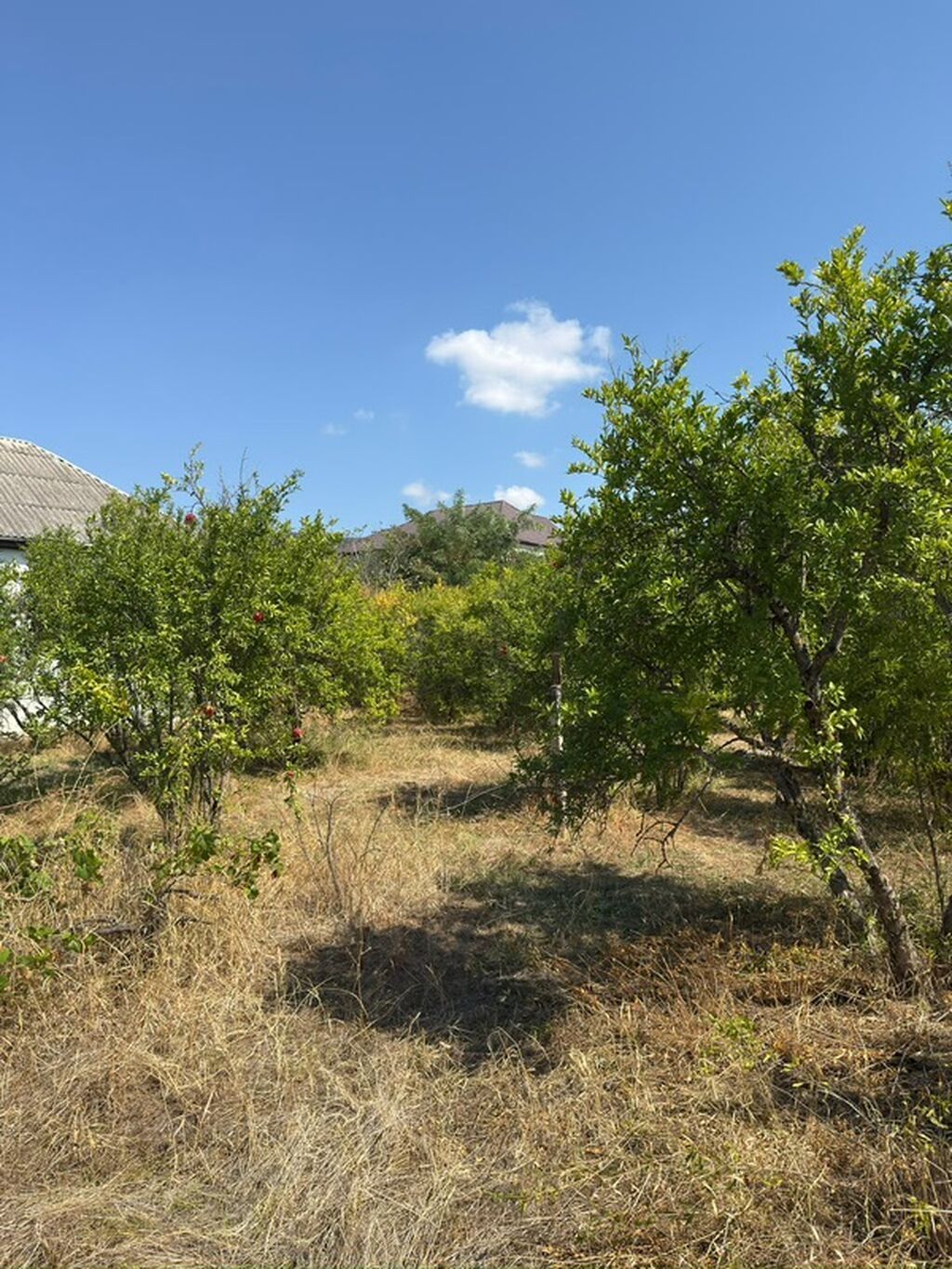 3 otaqlı, 72 kv. m