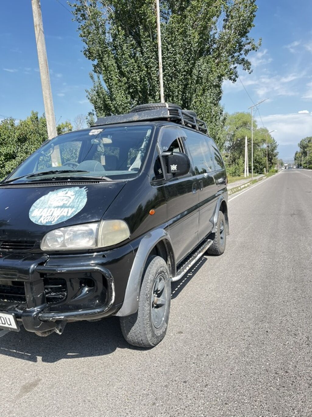 Mitsubishi Delica: 1997 г., 3 л, Автомат, Газ, Минивэн: фото 1