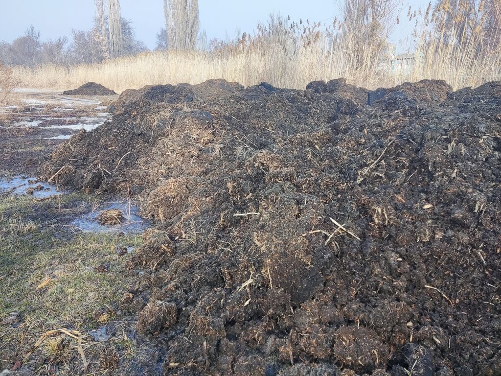 Торф чернозем земля торф грибы торф только камазами или хово от 5: фото 2