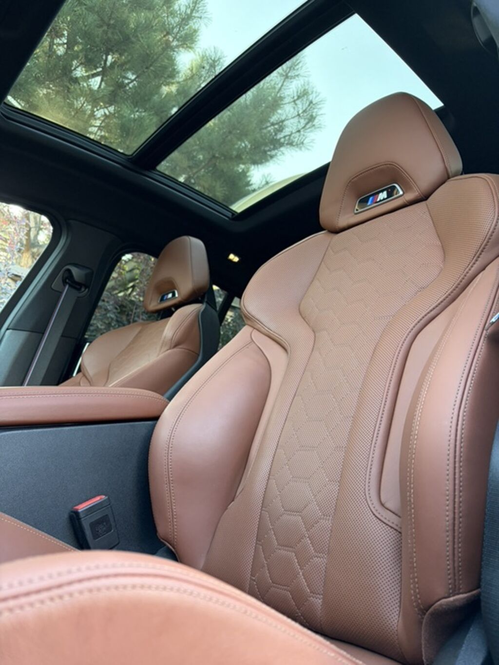 BMW X4 M: 2021 г., 3 л, Робот, Бензин, Кроссовер: фото 8