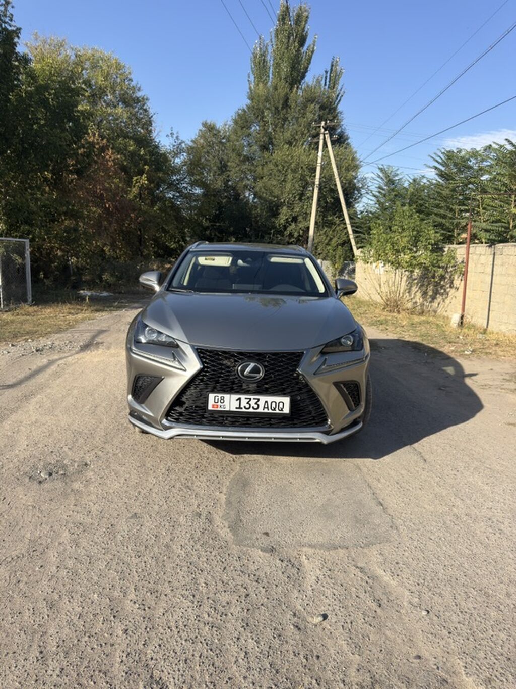 Lexus NX: 2019 г., 2 л, Автомат, Бензин, Кроссовер: фото 2