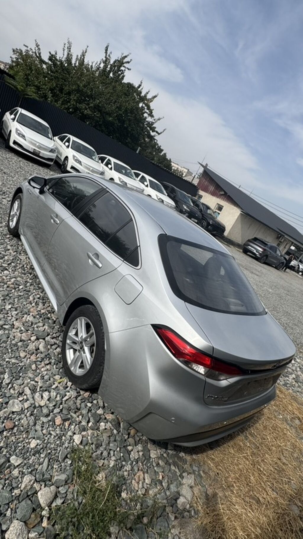 Toyota Levin: 2020 г., Гибрид, Седан: фото 4