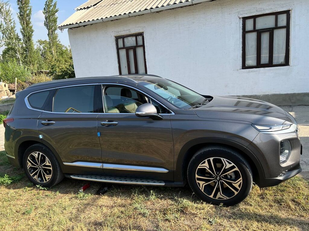 Hyundai Santa Fe: 2019 г., 2 л, Автомат, Дизель, Универсал: фото 3