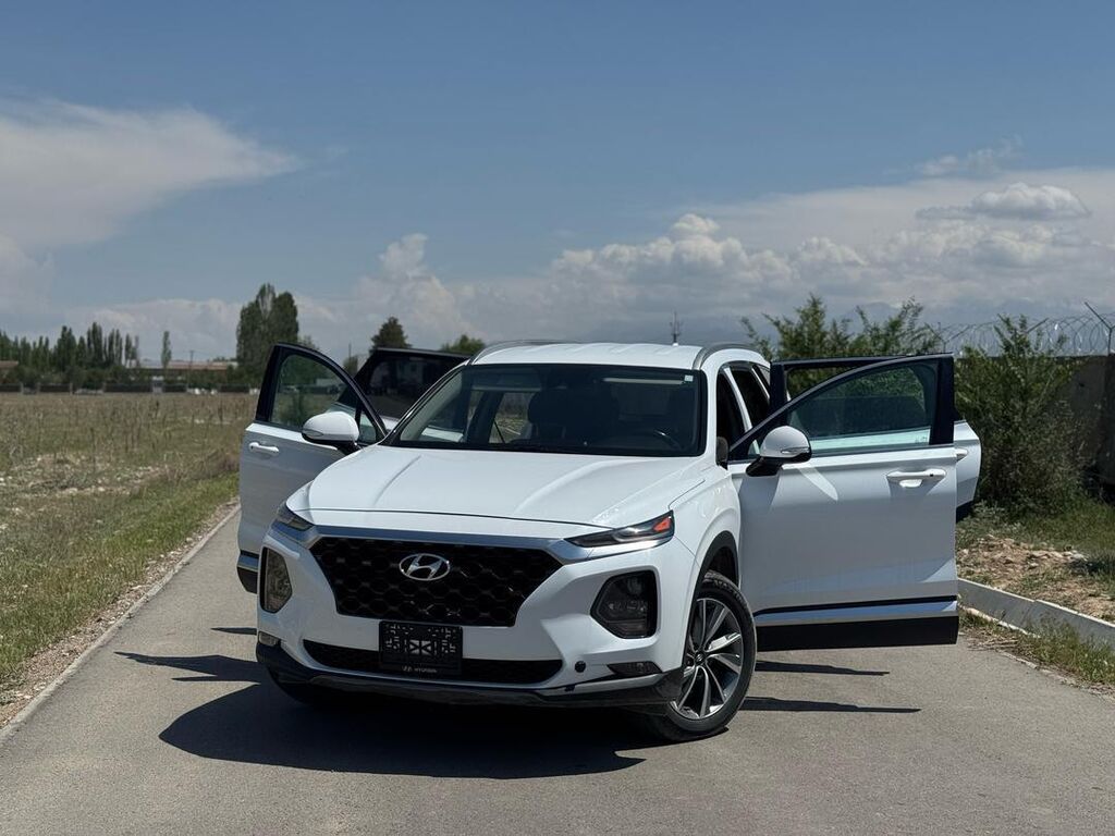 Hyundai Santa Fe: 2019 г., 2.4 л, Автомат, Бензин, Кроссовер: фото 8