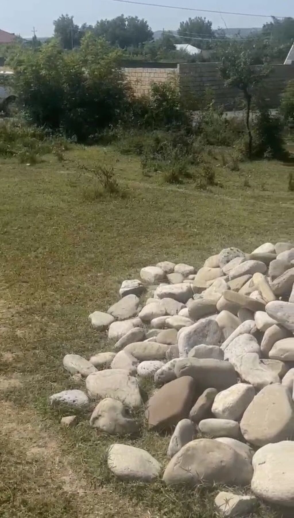 11 sot, Tikinti, Mülkiyyətçi, Kupça (Çıxarış)