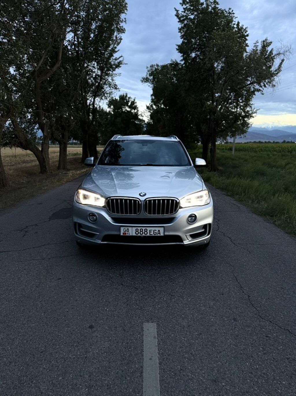 BMW X5: 2018 г., 3 л, Автомат, Бензин, Кроссовер: фото 4