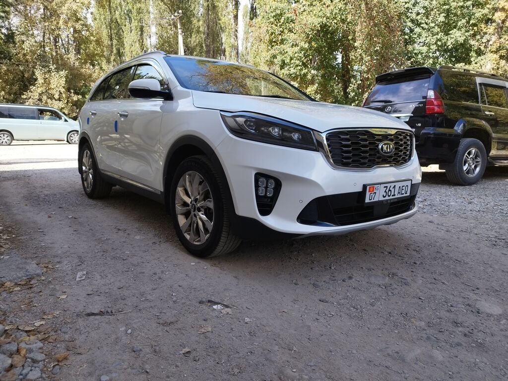 Kia Sorento: 2019 г., 0.2 л, Автомат, Дизель, Кроссовер: фото 3